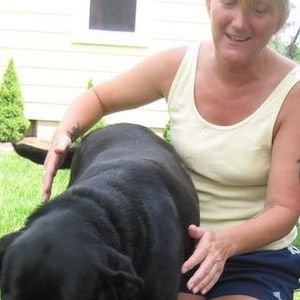 Meet your Posher, Dawn